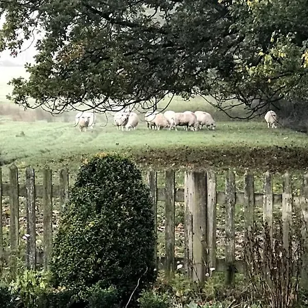 Rural Cottage, Lovely Views Near Tenterden & Chapel Down Rolvenden Exterior photo