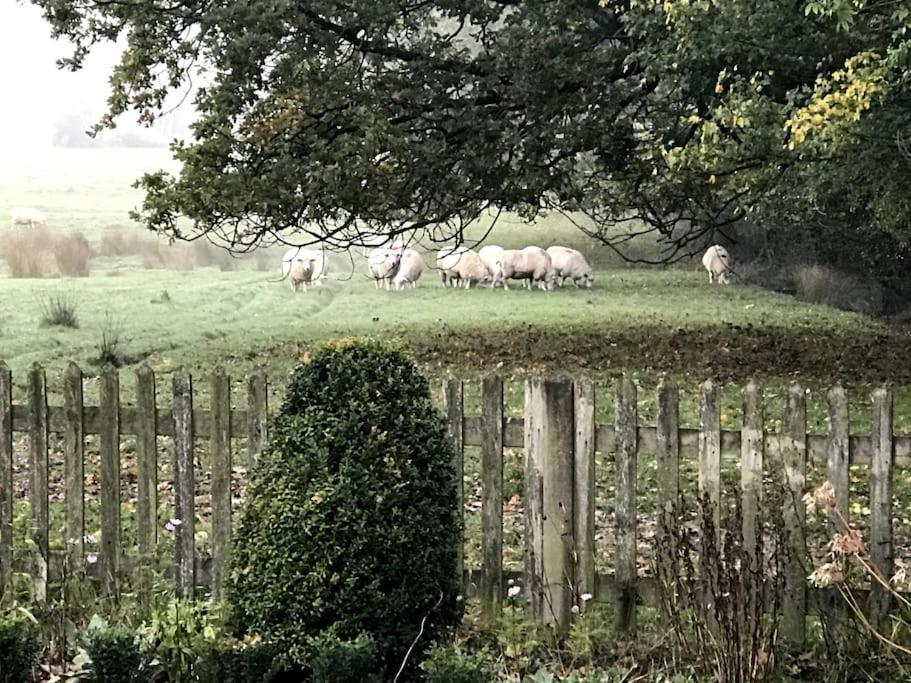 Rural Cottage, Lovely Views Near Tenterden & Chapel Down Holiday home Rolvenden